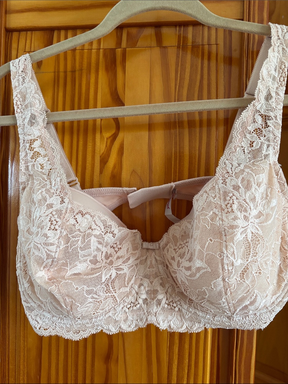 Triumph Lace Underwire Bra in Blush Pink